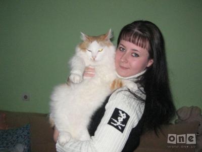 getimageca6i4w6w.jpg