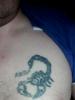 img_20161014_224708_t1.jpg