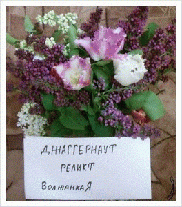 Нажмите для просмотра оригинального размера 1.gif