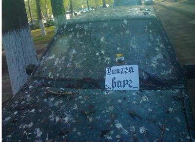 Нажмите для просмотра оригинального размера _.jpg