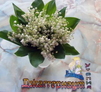 dscf3993.jpg