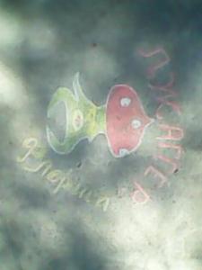 img0023a.jpg