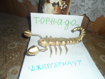 sam_4163_.jpg