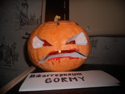 dscn1311.jpg