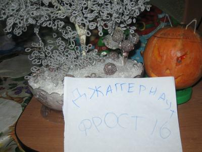 img_1728.jpg
