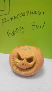 jd6rwn8up6g.jpg
