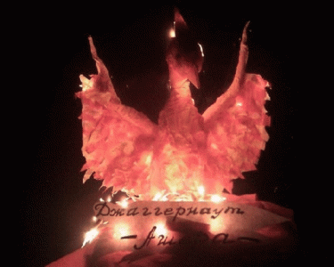 1511883162.gif