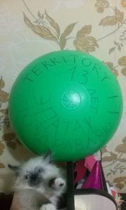 cam012861.jpg