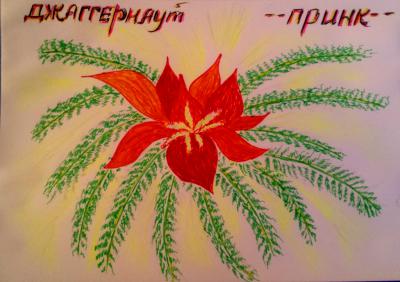 20170630_205344.jpg