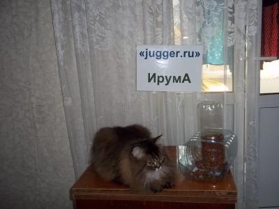 000_0106.jpg