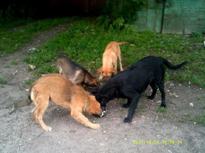 dscf0450.jpg