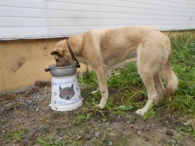 dscn7592.jpg