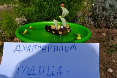dsc_0726-min.jpg
