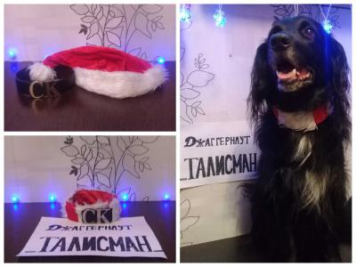 Нажмите для просмотра оригинального размера 1513543264.jpg