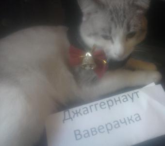Нажмите для просмотра оригинального размера cam00587.jpg