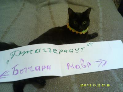 Нажмите для просмотра оригинального размера dscf0467.jpg