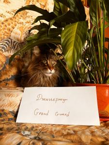 Нажмите для просмотра оригинального размера grandguard_simvol22.jpg